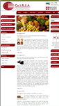 Mobile Screenshot of ceirsa.org